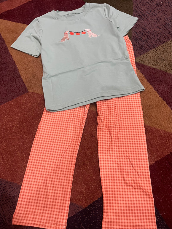 Pumpkin dog boy pant set