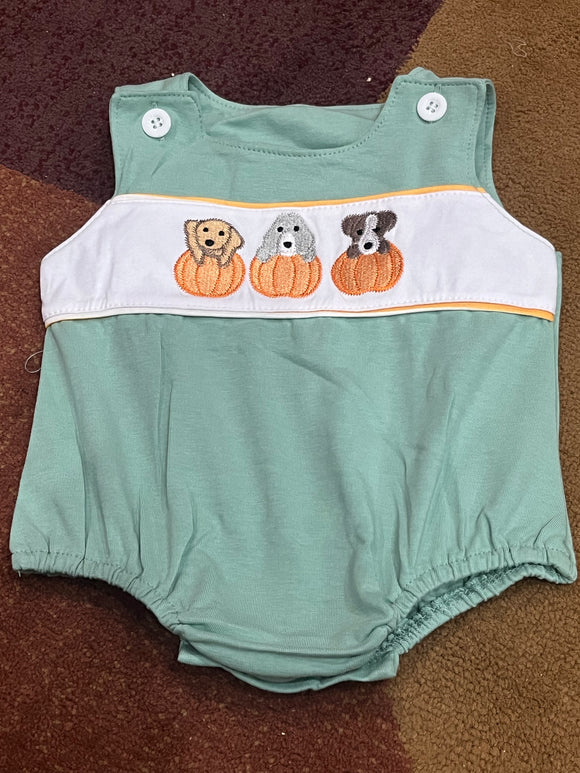 Sage boy pumpkin puppy bubble